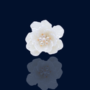 Bague “ Shanna ”